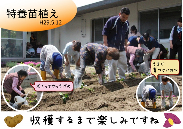 【特別養護老人ホーム】笑顔も会話も育くむ畑づくり