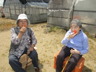 【グループホーム】個別外出支援の取り組みについて