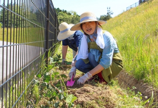 芝桜プロジェクト始動！「ライフケア黒森に来訪してくださる皆さまを芝桜でおもてなしをしたい！」
