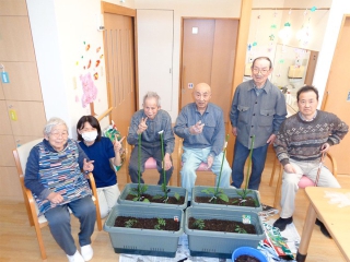 プランターで野菜作り・居室の西日対策にグリーンカーテンを